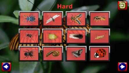 Screenshot 3 Kids Insect Jigsaw Puzzle and Memory Games windows