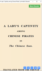 Imágen 13 A Lady's Captivity among Chinese Pirates, by Amelia B. Edwards windows