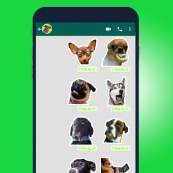 Screenshot 6 🐾Mejor Stickers y memes perros WAStickerApps 2020 android