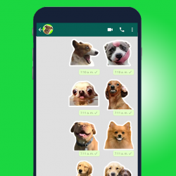 Captura 7 🐾Mejor Stickers y memes perros WAStickerApps 2020 android