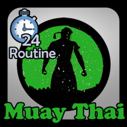 Captura de Pantalla 1 Muay Thai Training - Offline Videos android