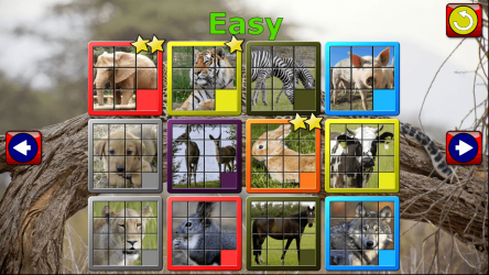 Capture 7 Niños Animal Slide Puzzle 15 windows