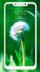 Screenshot 8 Dandelion Wallpaper android