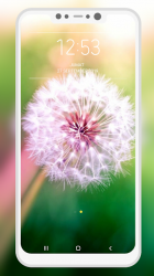 Captura de Pantalla 12 Dandelion Wallpaper android