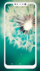 Imágen 6 Dandelion Wallpaper android