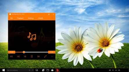Capture 4 Fast Player for DVD windows