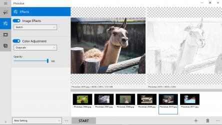 Captura de Pantalla 5 Batch image processor - Photobat windows