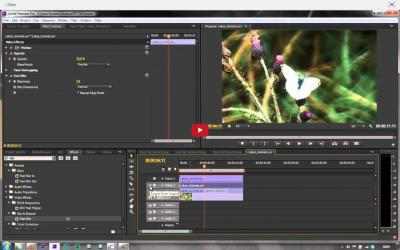 Captura de Pantalla 5 Adobe Premiere Pro Ultimate Guides windows