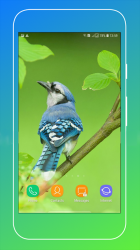 Imágen 7 Bird Wallpaper android