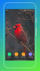 Screenshot 14 Bird Wallpaper android
