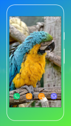 Imágen 10 Bird Wallpaper android