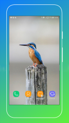 Imágen 12 Bird Wallpaper android