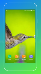 Imágen 4 Bird Wallpaper android