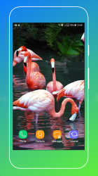 Screenshot 5 Bird Wallpaper android