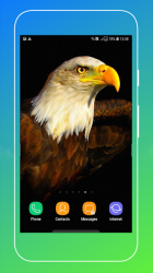 Captura de Pantalla 9 Bird Wallpaper android