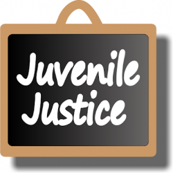 Captura 1 Juvenile Justice Act 2015 android