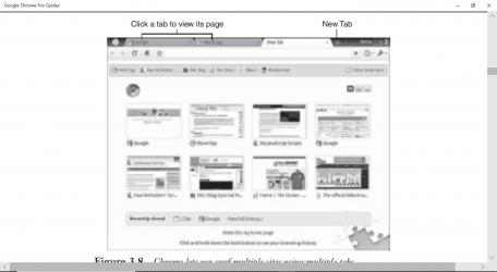 Screenshot 3 Google Chrome Pro Guides windows