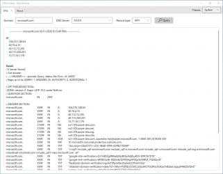 Captura 1 DNS Lookup - dig nslookup windows