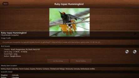 Screenshot 4 Bird Calls - Free : 4500+ Bird Sounds, Bird Songs, Bird Identification & Bird Guide windows