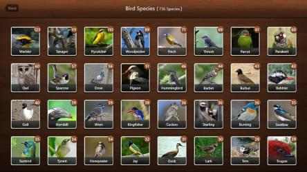 Captura de Pantalla 2 Bird Calls - Free : 4500+ Bird Sounds, Bird Songs, Bird Identification & Bird Guide windows