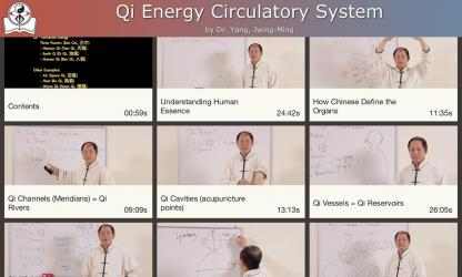 Imágen 7 Qi Energy Video Lesson android