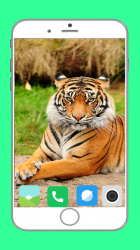 Screenshot 5 Zoo  Full HD Wallpaper android