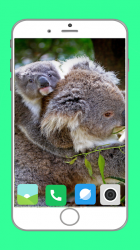 Captura 12 Zoo  Full HD Wallpaper android