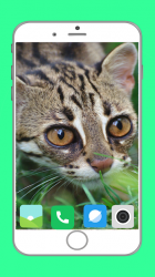 Captura de Pantalla 9 Zoo  Full HD Wallpaper android