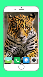 Captura 3 Zoo  Full HD Wallpaper android