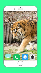 Captura de Pantalla 8 Zoo  Full HD Wallpaper android