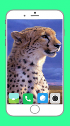 Screenshot 2 Zoo  Full HD Wallpaper android