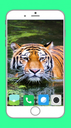 Capture 7 Zoo  Full HD Wallpaper android