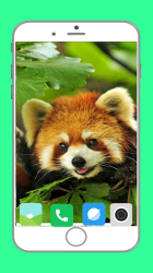 Captura de Pantalla 13 Zoo  Full HD Wallpaper android
