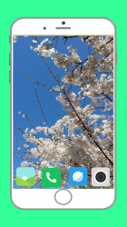Screenshot 4 Blooming Tree Full HD Wallpaper android