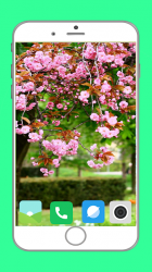 Screenshot 6 Blooming Tree Full HD Wallpaper android