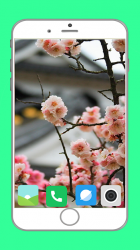 Captura de Pantalla 11 Blooming Tree Full HD Wallpaper android