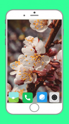 Captura de Pantalla 10 Blooming Tree Full HD Wallpaper android