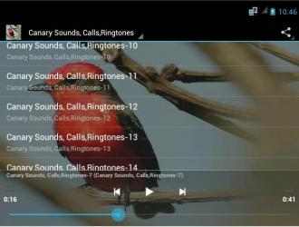 Captura de Pantalla 7 Canary Bird Calls & Ringtones android