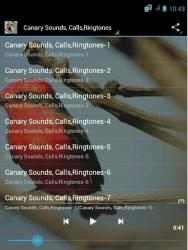 Captura 2 Canary Bird Calls & Ringtones android