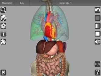 Screenshot 7 3D Human Anatomy windows