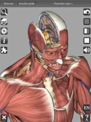 Captura de Pantalla 6 3D Human Anatomy windows