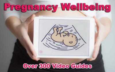 Captura de Pantalla 1 Pregnancy Wellbeing windows