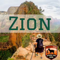 Captura de Pantalla 1 Zion National Park Audio Guide android