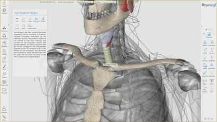 Image 9 3D Organon Anatomy windows