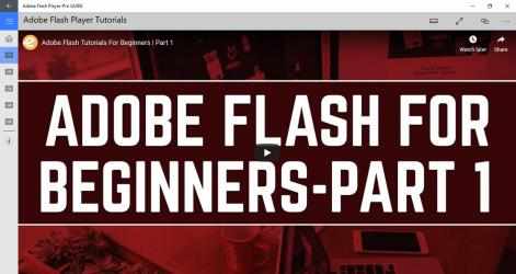 Captura de Pantalla 2 Adobe Flash Player-Pro GUIDE windows