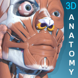 Captura de Pantalla 1 Visual Anatomy 3D - Human android
