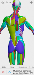 Imágen 8 Visual Anatomy 3D - Human android