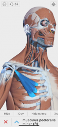 Screenshot 2 Visual Anatomy 3D - Human android