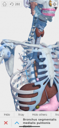 Screenshot 7 Visual Anatomy 3D - Human android