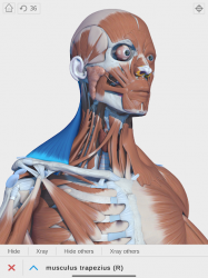 Captura 9 Visual Anatomy 3D - Human android